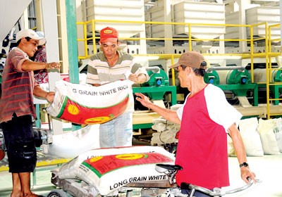 Rice being exported from a company in Can Tho City (Photo: SGGP) Rice being exported from a company in Can Tho City (Photo: SGGP)